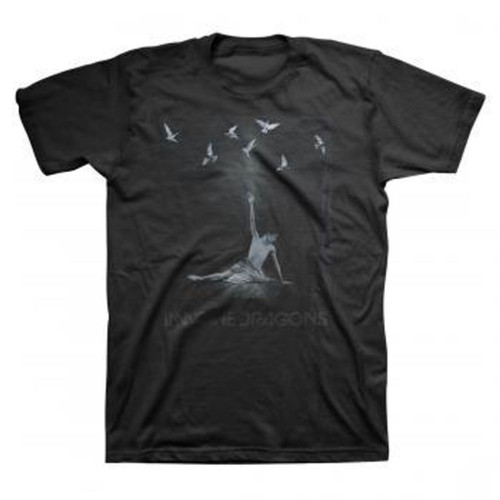 Imagine Dragons Ballerina Birds Classic T-Shirt