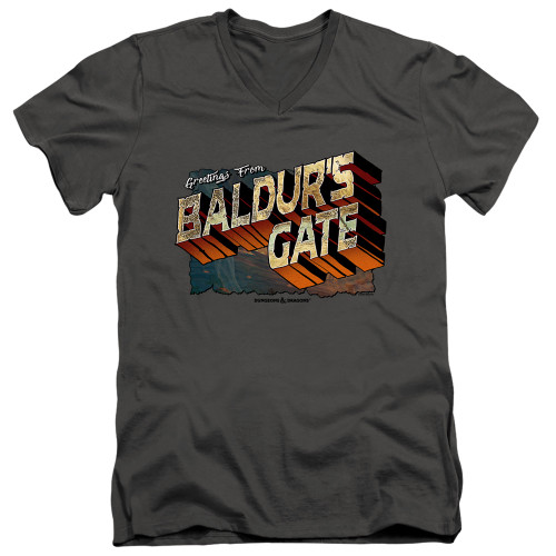 Dungeons and Dragons Baldurs Gate Adult V-Neck 30/1 T-Shirt Charcoal