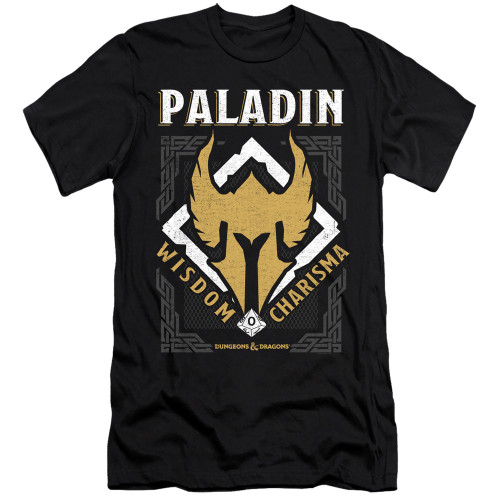 Dungeons and Dragons Paladin Premium Slim Fit Adult 30/1 T-Shirt Black