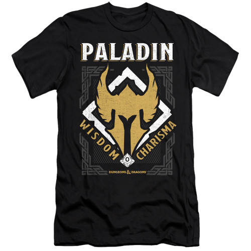 Dungeons and Dragons Paladin Adult Premium 30/1 T-Shirt Black