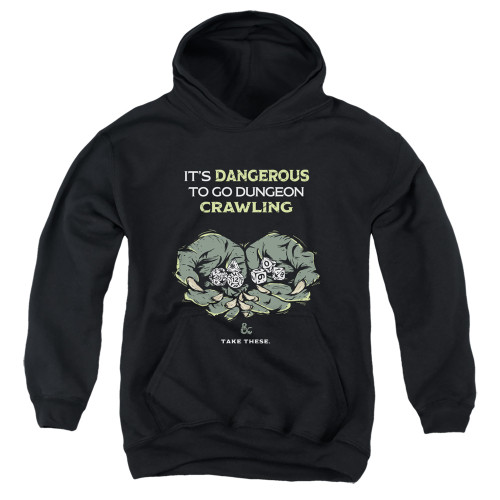 Dungeons and Dragons Dangerous To Go Alone Youth Pullover Hoodie Sweatshirt Black
