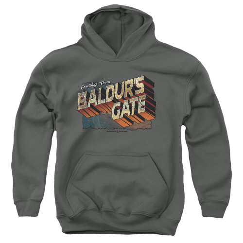 Dungeons and Dragons Baldurs Gate Youth Pullover Hoodie Sweatshirt Charcoal