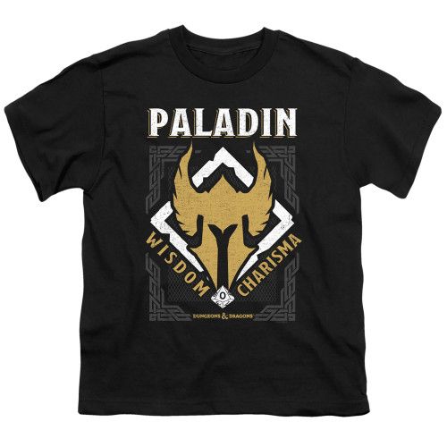 Dungeons and Dragons Paladin Youth 18/1 T-Shirt Black