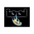 Tool Eye Sticker