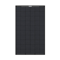 Csun Solar Panels Sunwatts