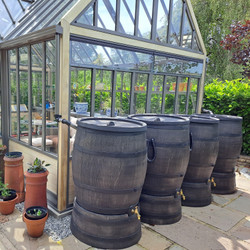 Are Water Butt Barrels Worth Buying? UK Guide 