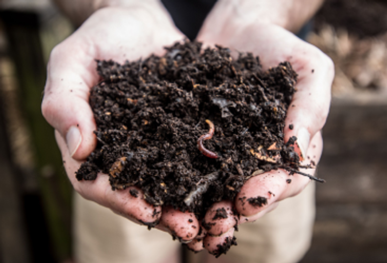 How to Start Composting: A Quick Starter Guide