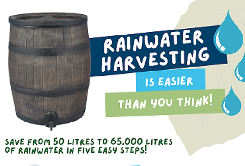 Rainwater Harvesting Is Easier Than You Think!