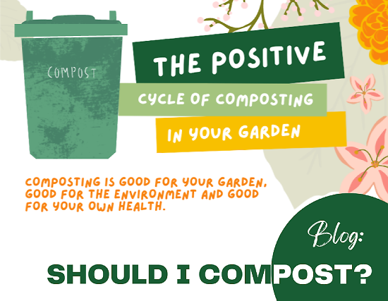 6 reasons to start composting