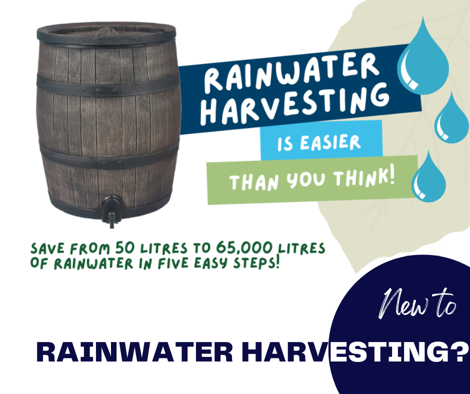 Rainwater Harvesting Is Easier Than You Think - An Infographic by Outdoor Outlet