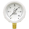 600 PSI 4 LM Dry Gauge Versa V4251PPM2/W [200406]