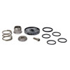 Control Unit Repair Kit For GS50GI Pentair Hypro 9910-KIT1732 [200264]