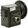 20:1 Right Angle Cast Iron Worm Gear Reducer 2.67 HP 56C Hollow Output Worldwide HDRF-262-20-H-56C [602122]