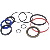 5" Bore 2" Rod Lion LH3000 Seal Kit RK50WR-200 [903035]