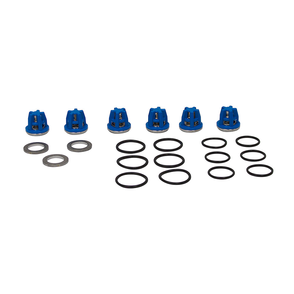 Valve Kit Pentair Hypro 9915-KIT2103 [200804]