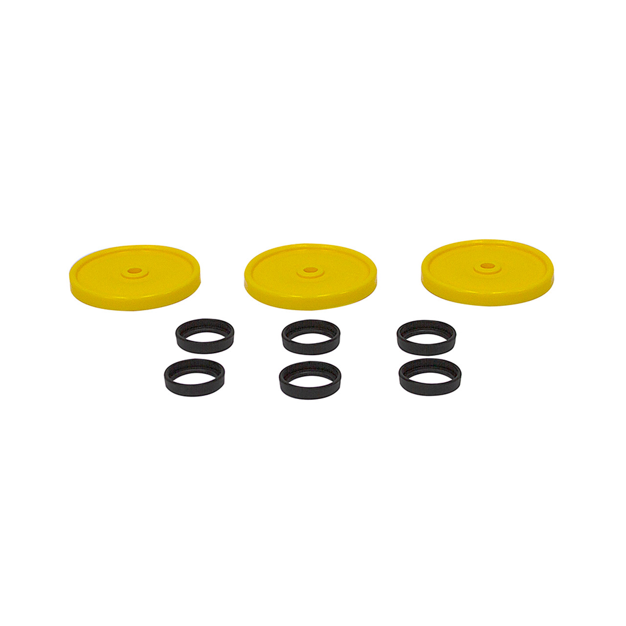 Diaphragm Kit Pentair Hypro 9915-KIT2002 [200796]