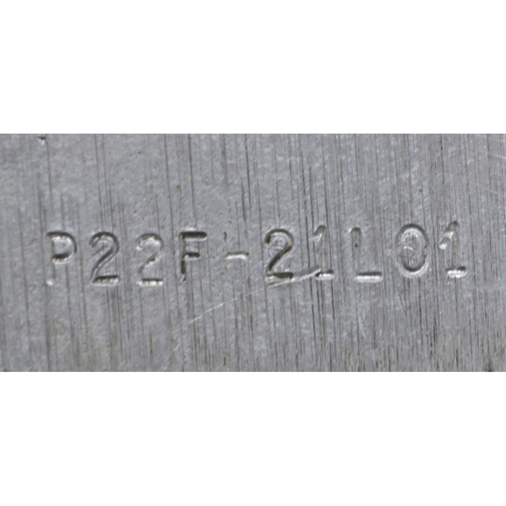 Borg Warner P22FH21L01 Hydraulic Gear Pump [WC9-34]