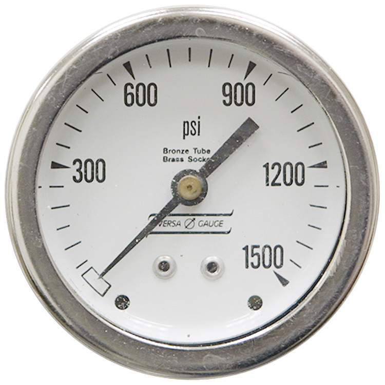 1500 PSI 2.5 BM Dry Gauge Versa V2351YPR3 [200363]