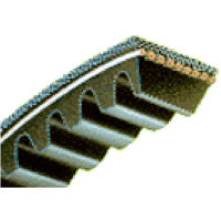 26" AX V-Belt Type AX24 Notched Bestorq [602446]