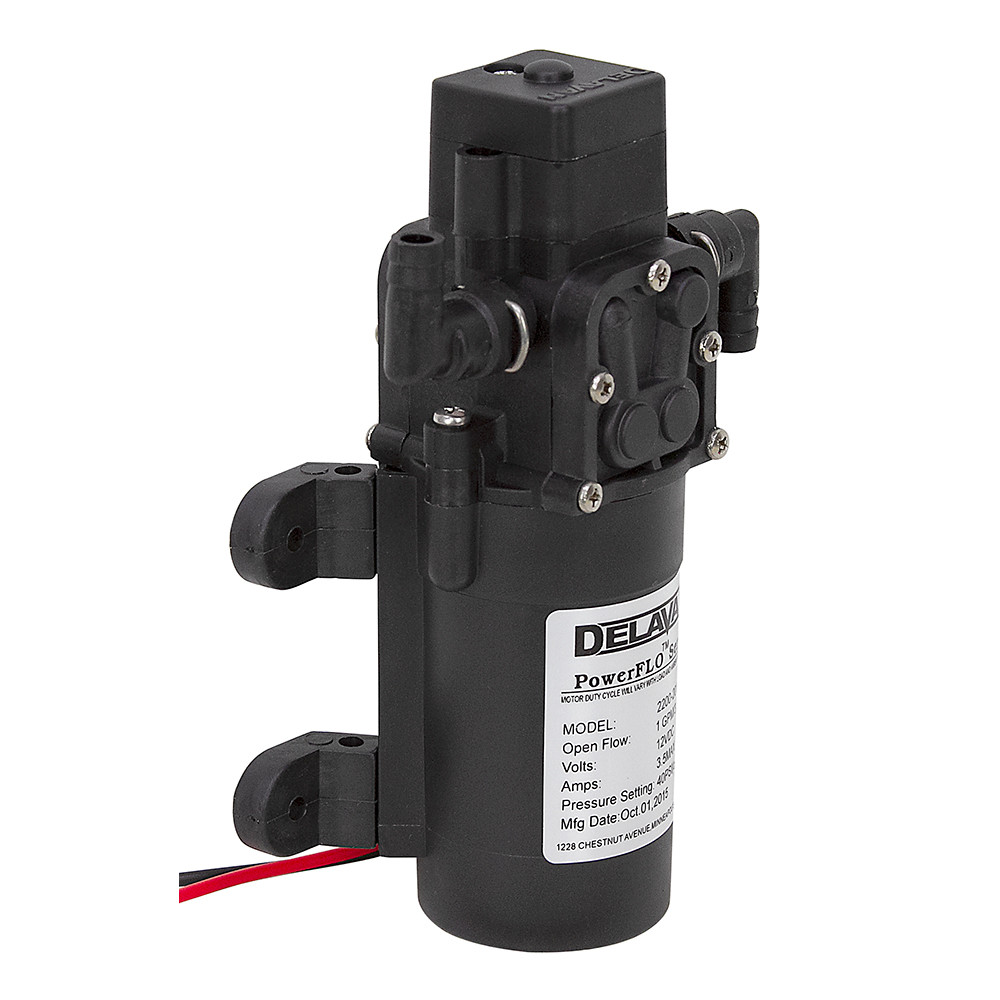 Delavan 12 Volt DC 1 GPM Diaphragm Pump [200702]
