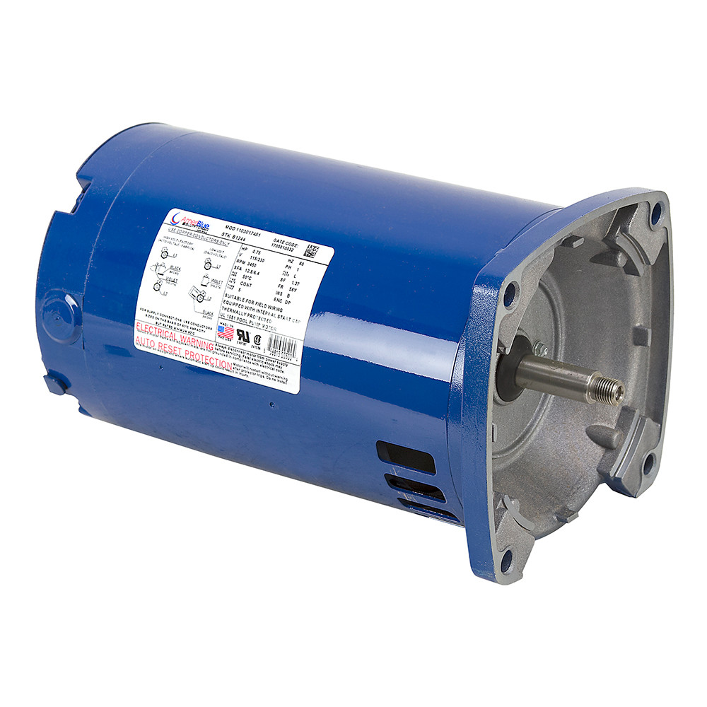 ププルル 3/4 HP 3450 RPM 115/230 Volt AC Pool Pump Motor Ameriblue B1244