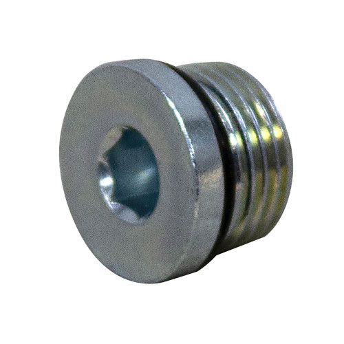 SAE 2 Male Hollow Hex Head Plug 6408-HHP-02 [905796]