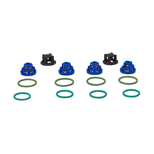 Valve Kit Pentair Hypro 9915-KIT2101 [200802]