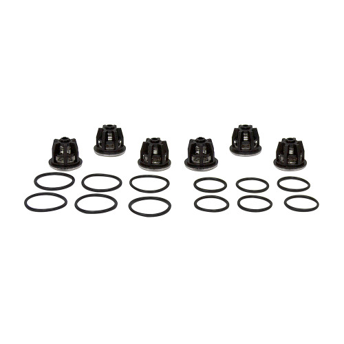 Valve Kit Pentair Hypro 9915-KIT2106 [200807]