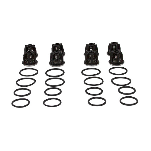 Valve Kit Pentair Hypro 9915-KIT2107 [200808]