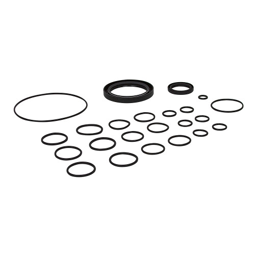Pump Repair Kit Pentair Hypro 9915-KIT2208 [200817]