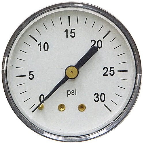 30 PSI 2 Plastic BM Dry Gauge [200353]