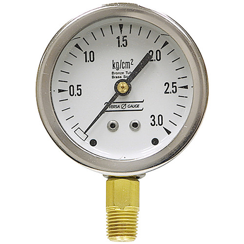 3 kg/cm&#178; 2.5 LM Dry Gauge [200366]