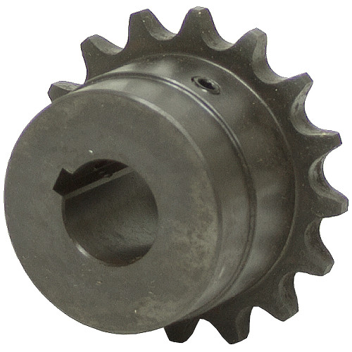 36 Tooth 1