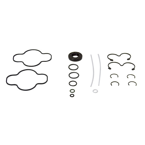Seal Kit For Dynamic 22 GPM 2-Stage Pump [903625]
