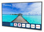 Peerless-AV - 55" Neptune™ Partial Sun 4K HDR Outdoor Smart TV - Comes with FREE Outdoor Tilting Wall Mount