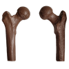 Milk Chocolate Hip Bones! .45 Pounds.