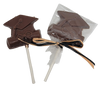 Graduation Cap Milk Chocolate Pop!