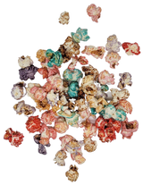 Freshly popped kettle corn seasonal colors, colors will vary by each season. 