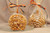 Fresh and Handmade Caramel Apples! Awesomely decorated with Classic, Peanut, Pecan, Candy Pieces, Toffee, and White Cinnamon.

