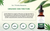 Organic CBG Tincture - CBD Drops
