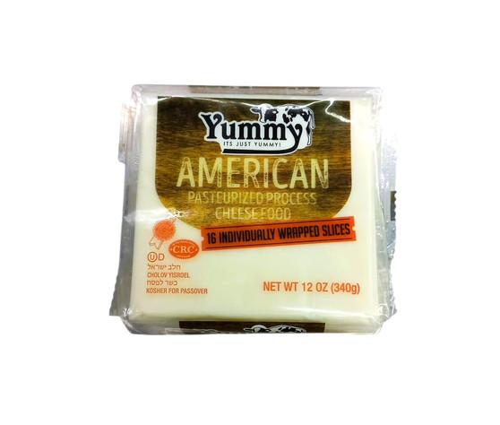 Yummy white american cheese sliced