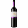 Terperberg vision cabernet suvignon 750 ml