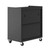 Manhattan Comfort Fortress Textured Metal 31.5" Garage Mobile Cabinet with 2 Adjustable Shelves in Grey