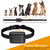 Electric Dog Fence System Pet Tone Shock Boundary Containment Water Resistant Collar Receiver For Small Medium Large Dog