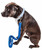 Pet Life 'Aero Mesh' Dual Sided Comfortable And Breathable Adjustable Mesh Dog Leash
