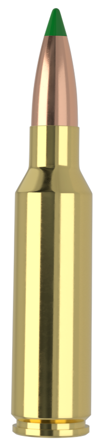 Nosler Ballistic Tip Hunting 300 WSM 165gr Rifle Ammunition - 61035