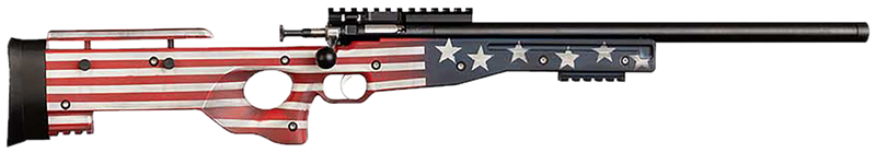 Crickett Precision .22 LR 16.1" Single Shot Rifle, Old Glory - KSA2150-OG