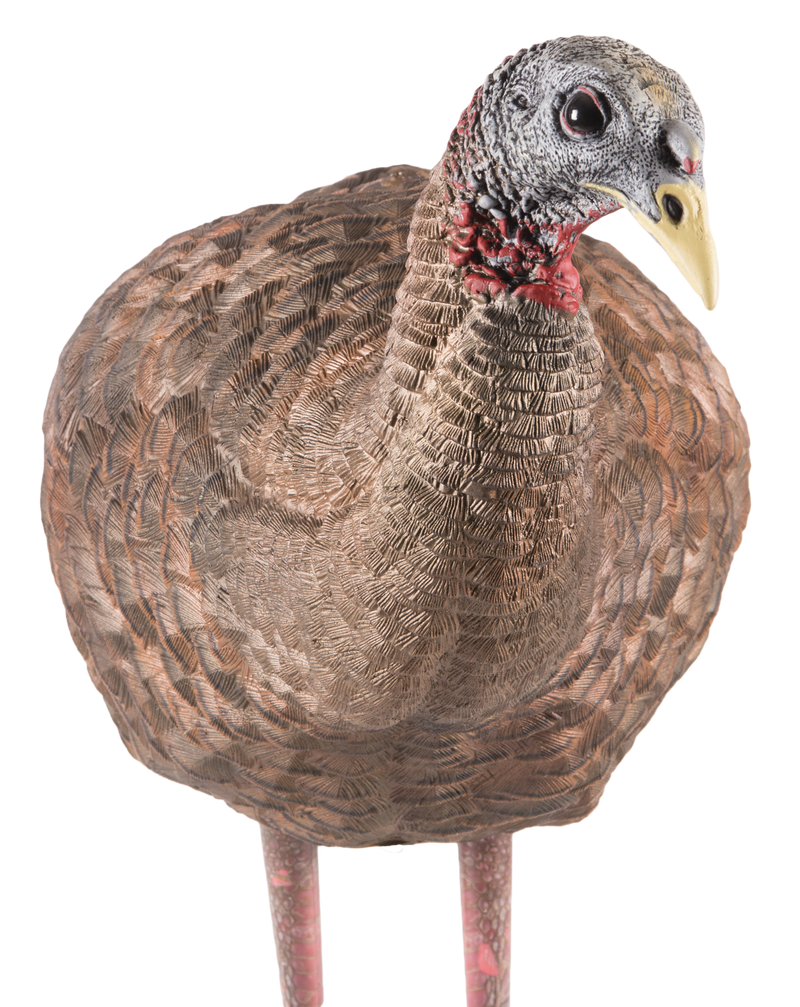 Avian X LCD Breeder Hen Turkey Decoy, Multi-Color - AVXAVX8008