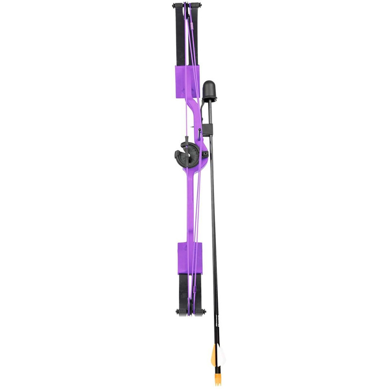 Bear Archery Brave Youth Compound Bow Purple - AYS300PL