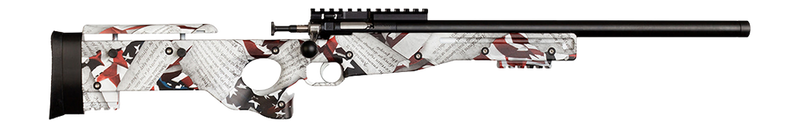Crickett Precision Amendment .22 LR Rifle, Blued - KSA2150-AMD